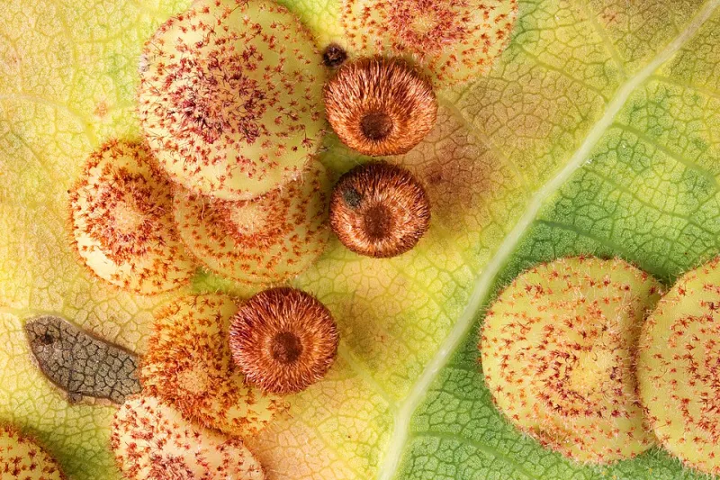 Dressed in Feeling: How Fabric and Texture Become the Language of the Heart